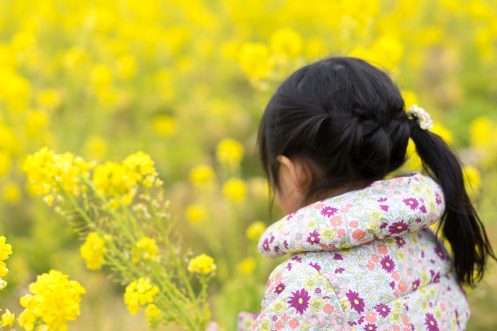 f:id:d_ymkw:20170326235017j:plain