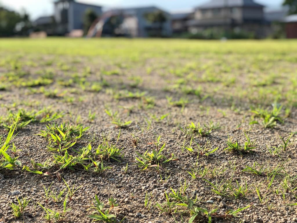 f:id:d_ymkw:20190904010515j:plain