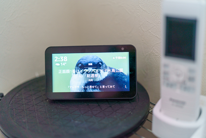 f:id:d_ymkw:20210305184722j:plain