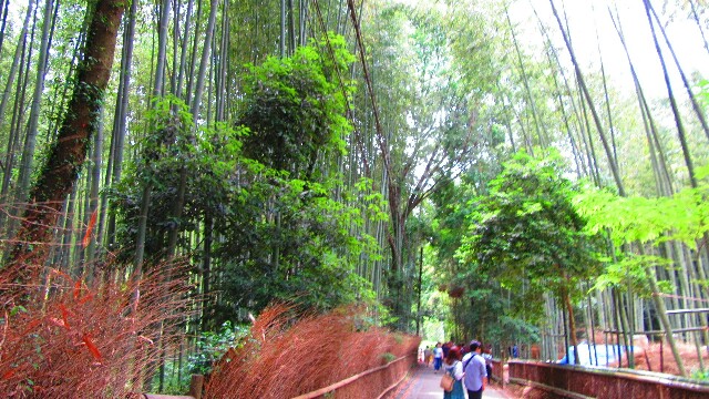 f:id:da--isuke:20170614215055j:image