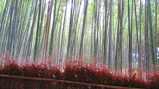 f:id:da--isuke:20170615193321j:image