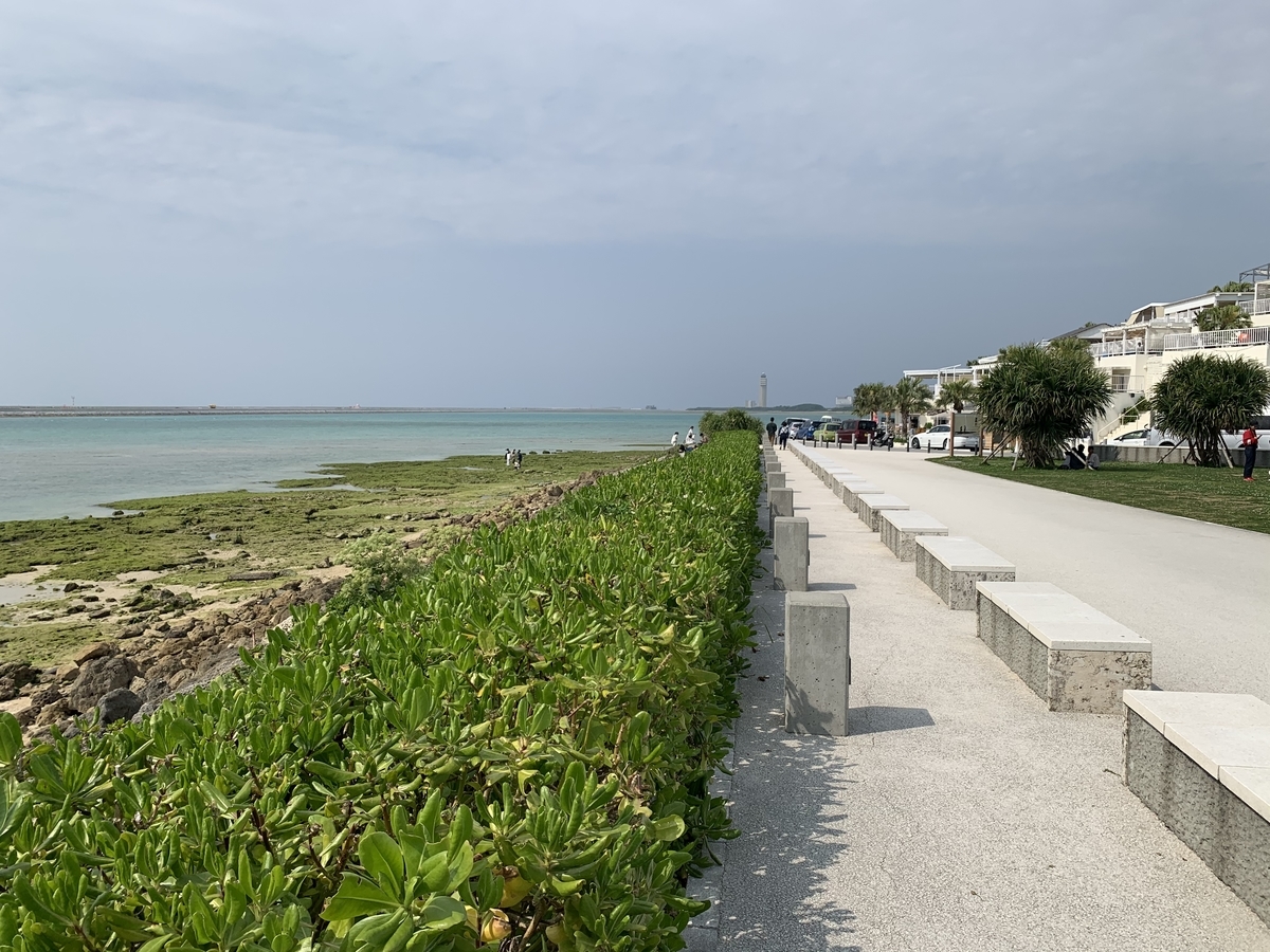 f:id:da-cyan:20200328203606j:plain