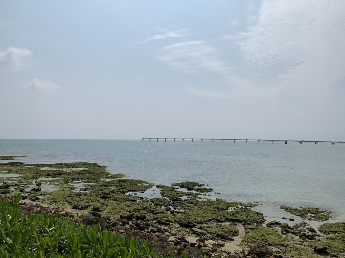 f:id:da-cyan:20200328203835j:plain