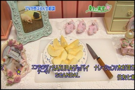 f:id:da-i-su-ki:20100130213305j:image