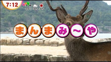 f:id:da-i-su-ki:20121025230758j:image f:id:da-i-su-ki:20121025230758j:image