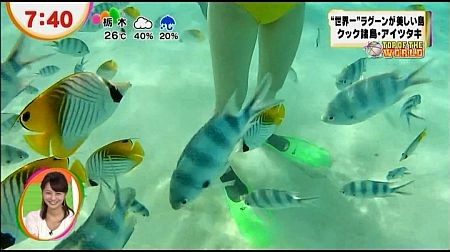 f:id:da-i-su-ki:20121118213342j:image f:id:da-i-su-ki:20121118213342j:image
