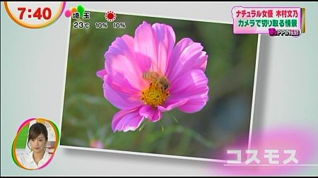 f:id:da-i-su-ki:20121202141640j:image