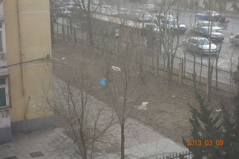 f:id:da-lian:20130309182328j:image