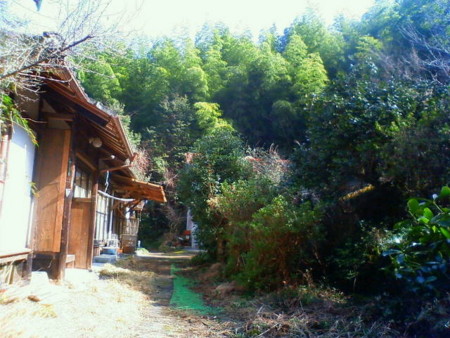 f:id:da-ta:20090208123700j:image f:id:da-ta:20090208123700j:image