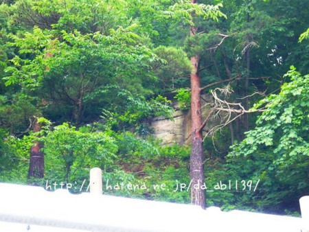 個別 小曲園跡地3 の写真 画像 画像置き場 個別 小曲園跡地3 の写真 画像 画像置き場