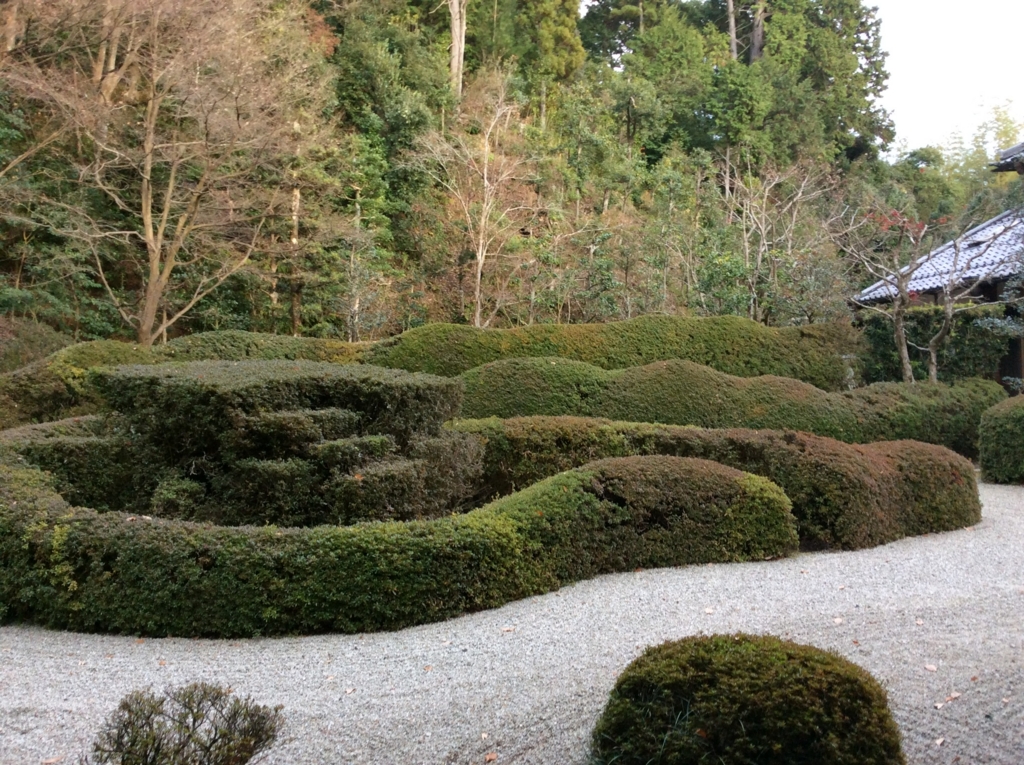 f:id:da_shinta:20170110232833j:plain