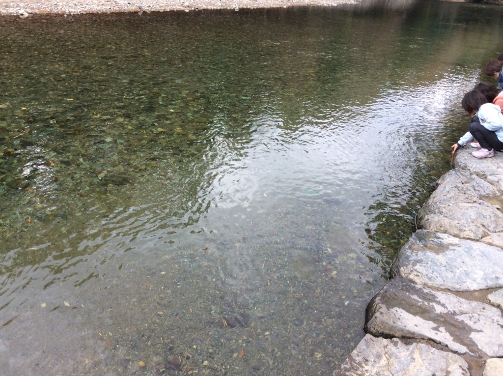 f:id:da_shinta:20171116000326j:plain