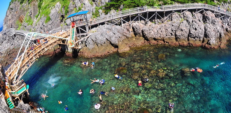 f:id:da_shinta:20200224231344j:plain