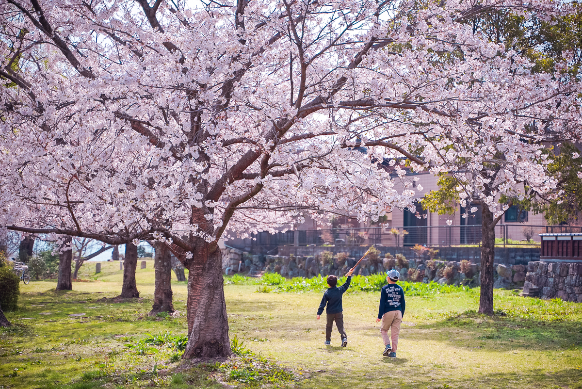 f:id:daaaaaai:20210327105929j:plain