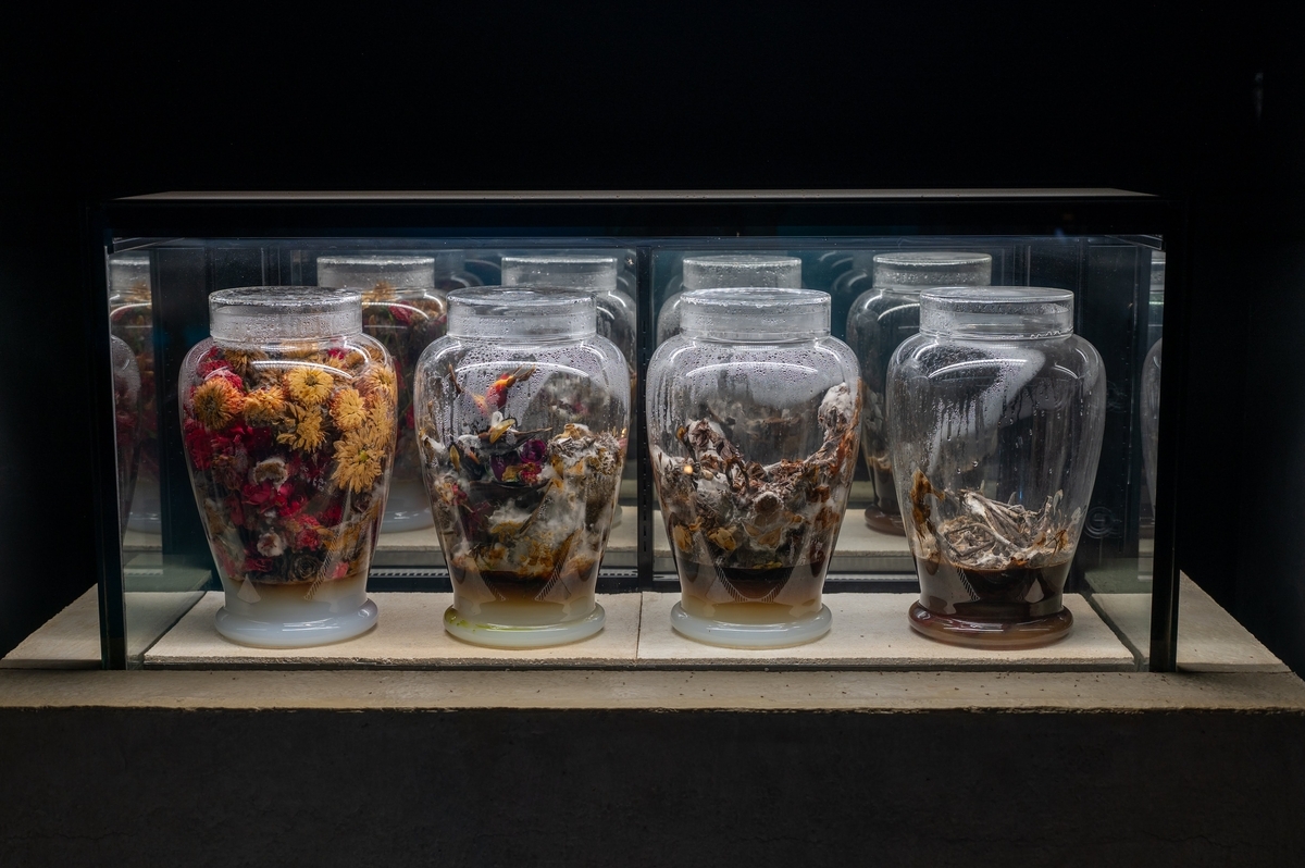 無限メタモルフォーゼ