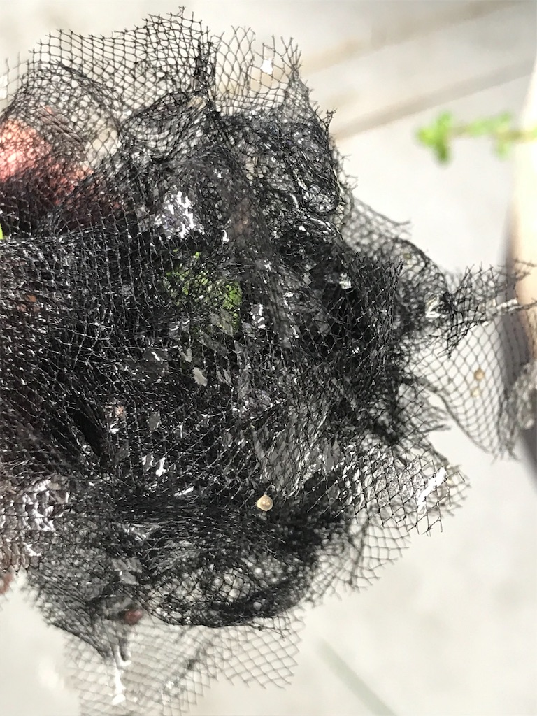 f:id:daaaiiii:20190928124638j:image