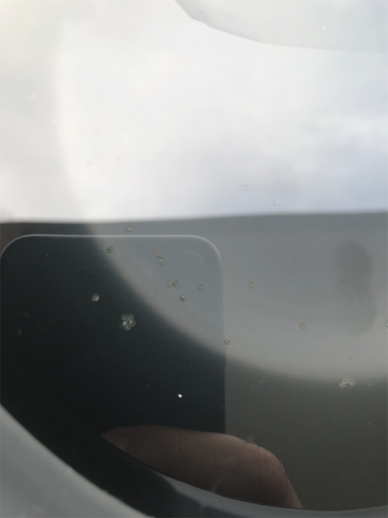 f:id:daaaiiii:20190928124902j:image
