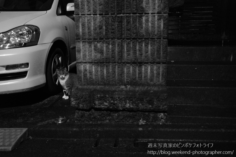 f:id:dabcphoto:20171023002729j:plain f:id:dabcphoto:20171023002729j:plain