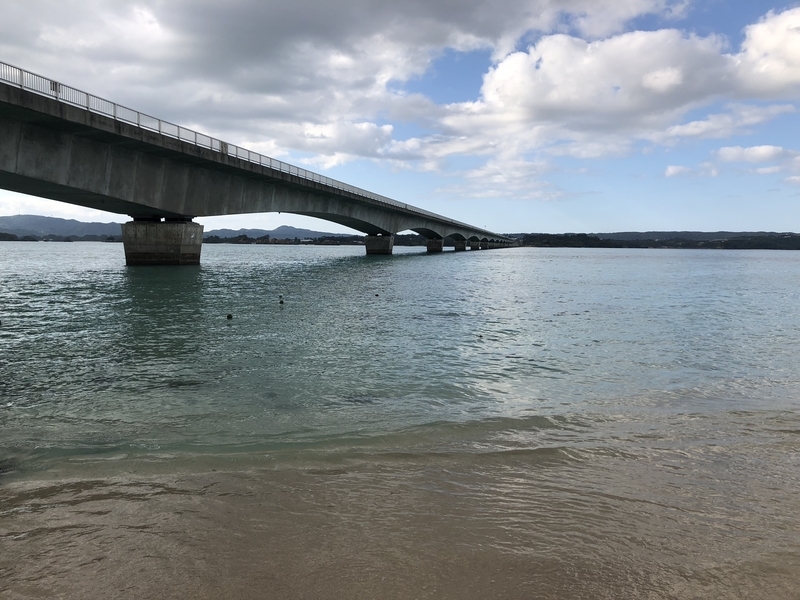 f:id:dachikusakun:20181230225733j:plain