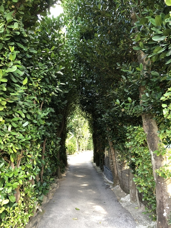 f:id:dachikusakun:20181230225734j:plain