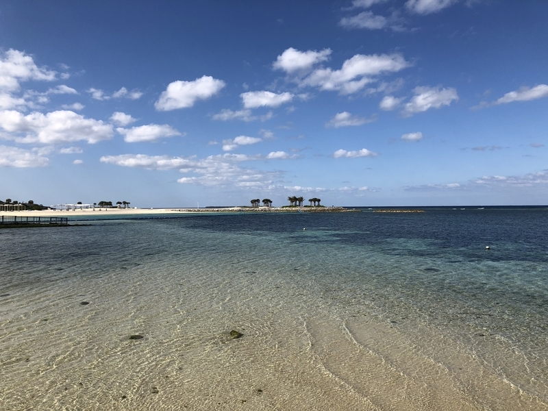 f:id:dachikusakun:20181230225735j:plain