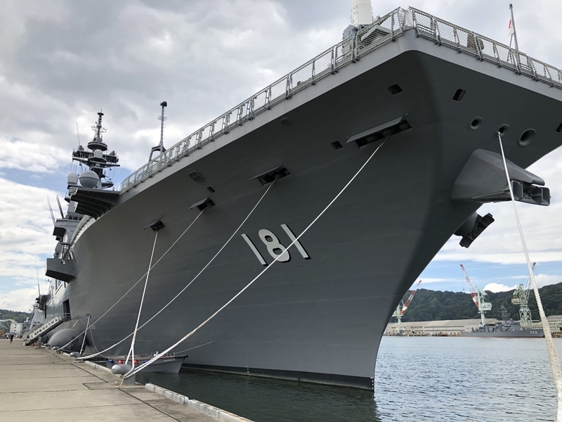 f:id:dachikusakun:20181230230358j:plain