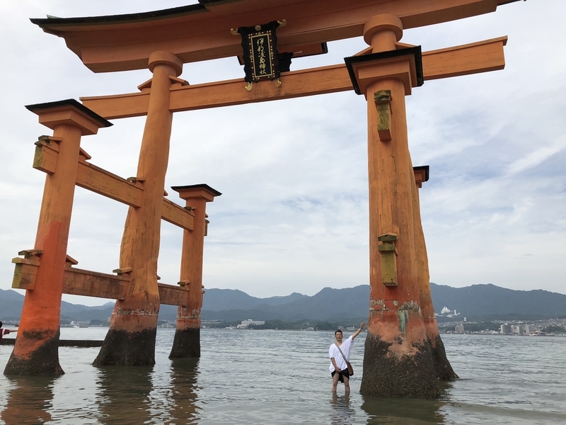 f:id:dachikusakun:20181230230410j:plain