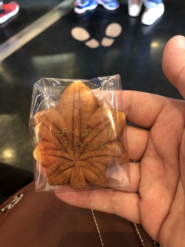 f:id:dachikusakun:20181230230413j:plain