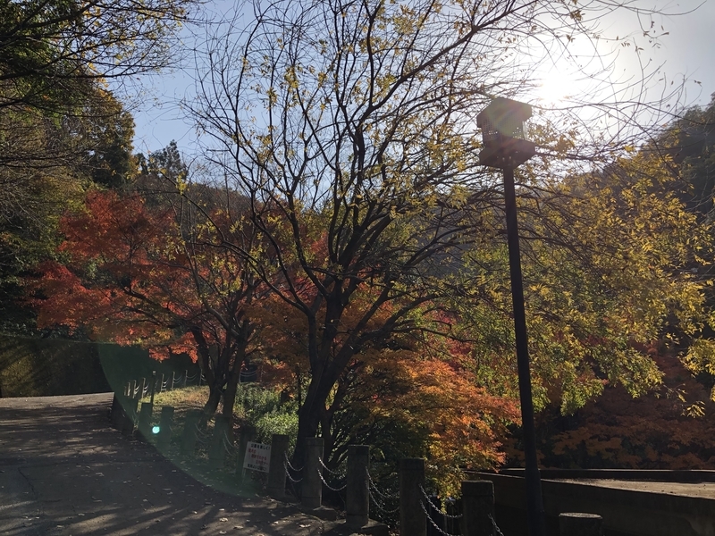 f:id:dachikusakun:20181230230421j:plain