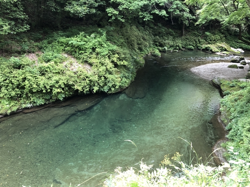 f:id:dachikusakun:20181230235457j:plain