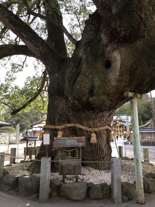 f:id:dachikusakun:20190103092118j:plain f:id:dachikusakun:20190103092118j:plain