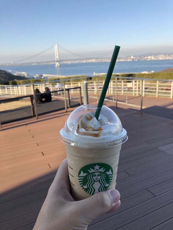 f:id:dachikusakun:20190120150227j:plain