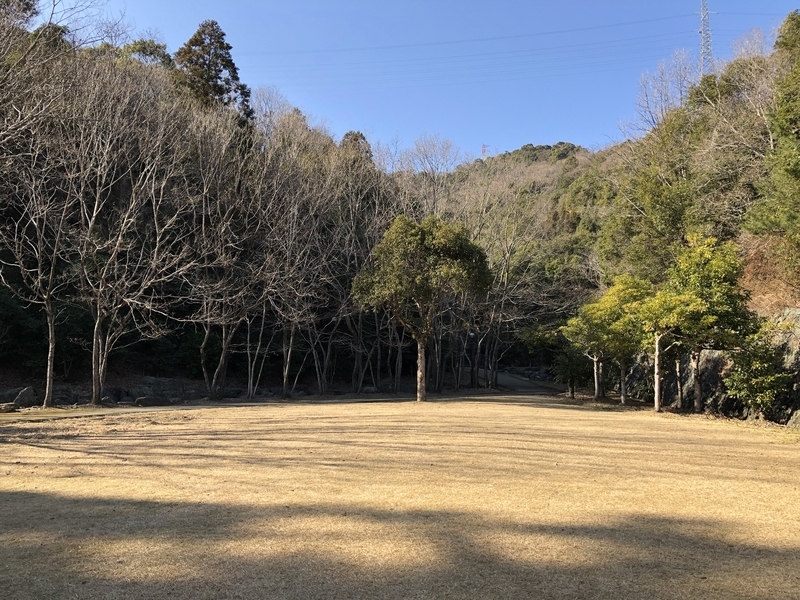 f:id:dachikusakun:20190123143130j:plain