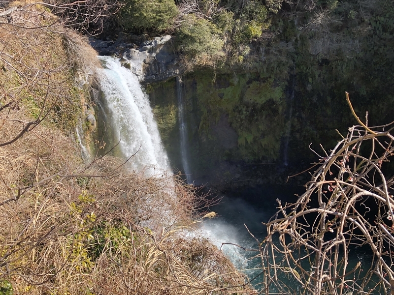 f:id:dachikusakun:20190209145827j:plain f:id:dachikusakun:20190209145827j:plain