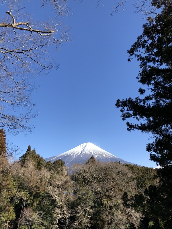 f:id:dachikusakun:20190209145831j:plain f:id:dachikusakun:20190209145831j:plain