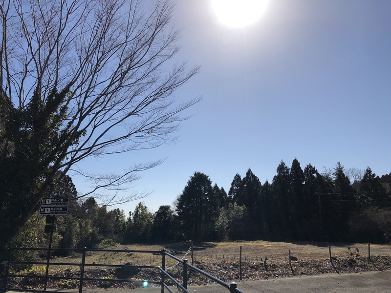 f:id:dachikusakun:20190209145832j:plain f:id:dachikusakun:20190209145832j:plain