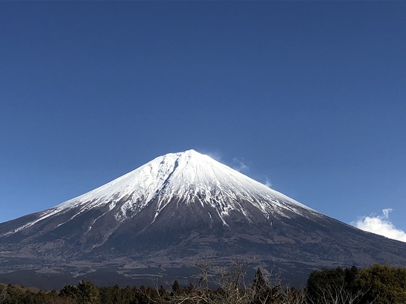 f:id:dachikusakun:20190209145835j:plain