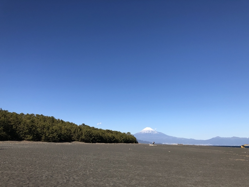f:id:dachikusakun:20190209145837j:plain f:id:dachikusakun:20190209145837j:plain