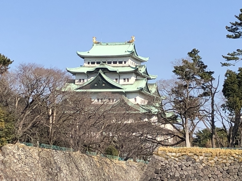 f:id:dachikusakun:20190209145843j:plain