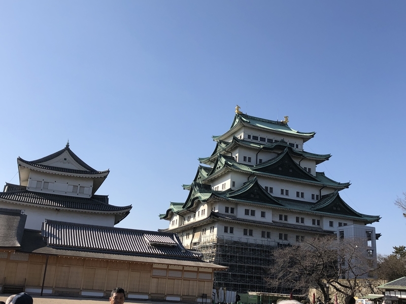 f:id:dachikusakun:20190209145846j:plain
