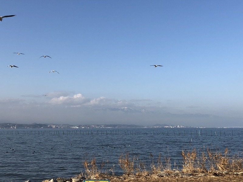 f:id:dachikusakun:20190209145855j:plain f:id:dachikusakun:20190209145855j:plain