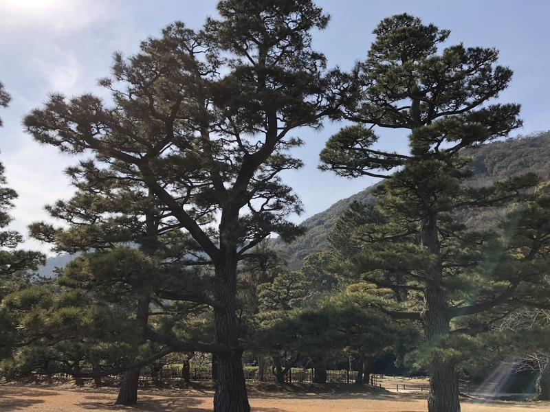 f:id:dachikusakun:20190218224224j:plain f:id:dachikusakun:20190218224224j:plain