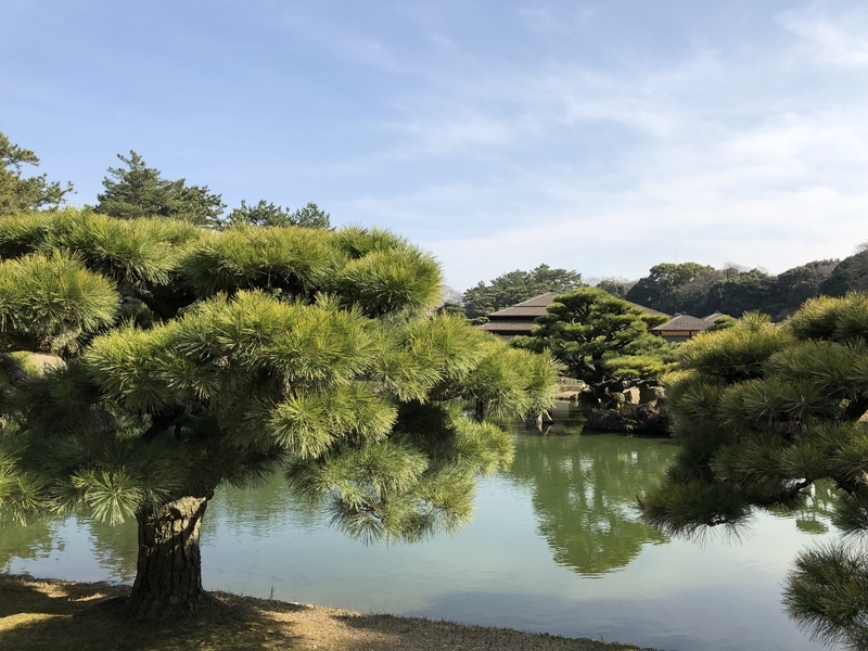 f:id:dachikusakun:20190218224227j:plain f:id:dachikusakun:20190218224227j:plain