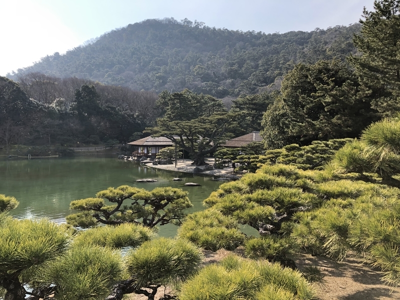 f:id:dachikusakun:20190218224234j:plain f:id:dachikusakun:20190218224234j:plain