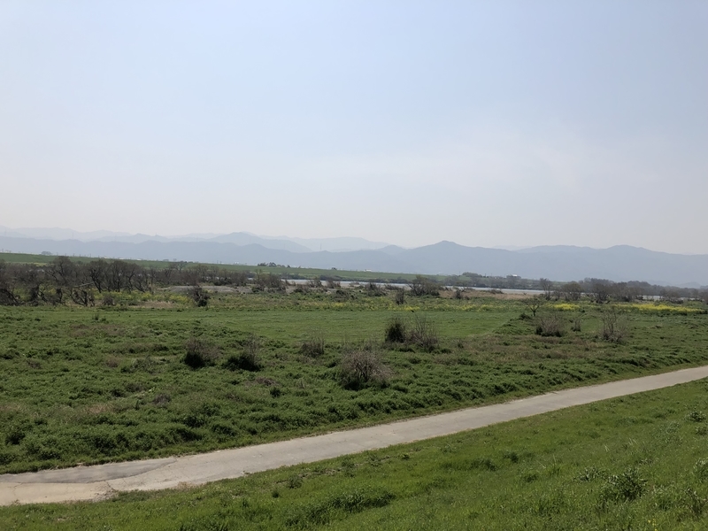 f:id:dachikusakun:20190327181310j:plain f:id:dachikusakun:20190327181310j:plain