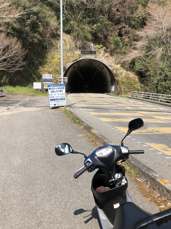 f:id:dachikusakun:20190327181313j:plain f:id:dachikusakun:20190327181313j:plain