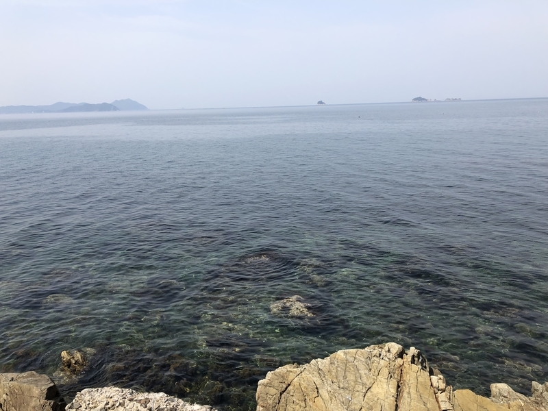 f:id:dachikusakun:20190327181325j:plain f:id:dachikusakun:20190327181325j:plain