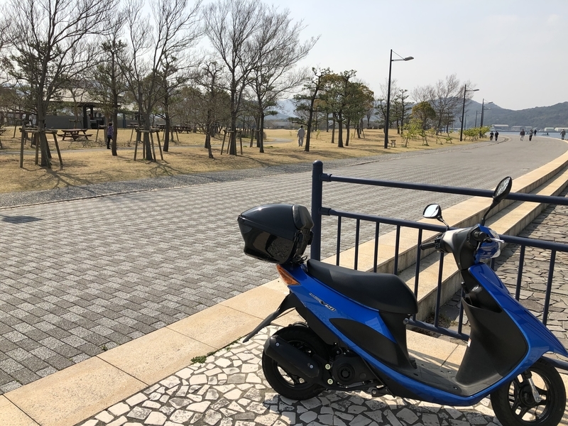 f:id:dachikusakun:20190327181327j:plain f:id:dachikusakun:20190327181327j:plain