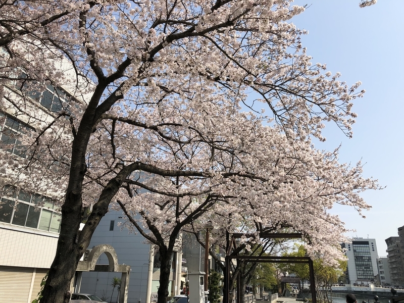 f:id:dachikusakun:20190407224015j:plain