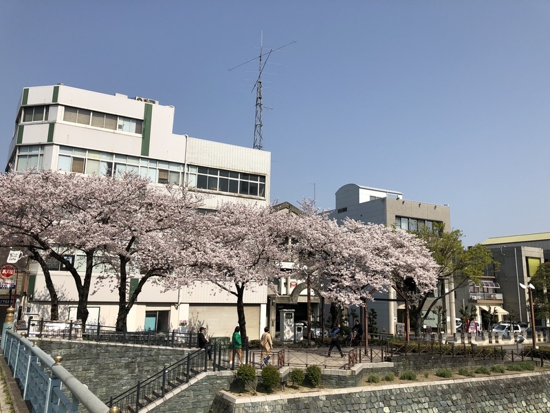 f:id:dachikusakun:20190407224017j:plain